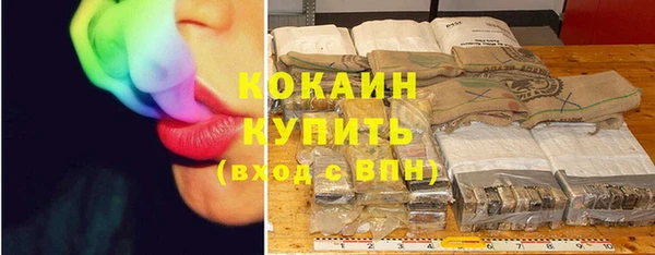 гашик Дмитровск