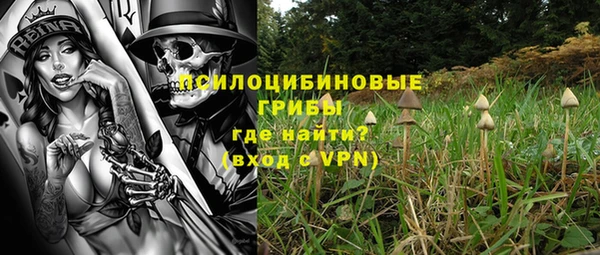 СК Дмитров