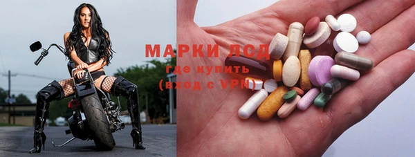 СК Дмитров
