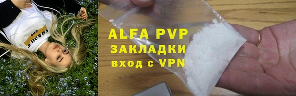 гашик Дмитровск