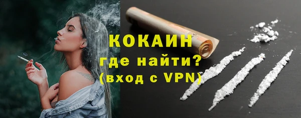 гашик Дмитровск