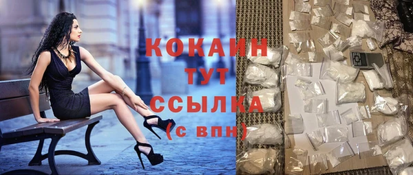 гашик Дмитровск