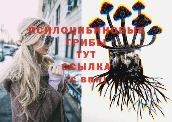 СК Дмитров