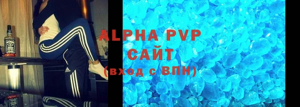 СК Дмитров