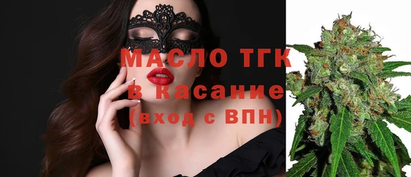 гашик Дмитровск