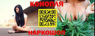 PSILOCYBIN Кунгур