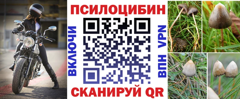 Галлюциногенные грибы мухоморы  мориарти формула  Знаменск 