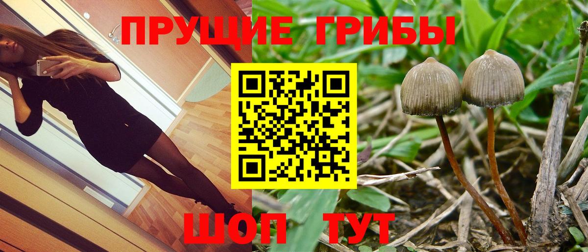 Галлюциногенные грибы MAGIC MUSHROOMS  Вход с VPN  Псилоцибиновые грибы мухоморы  Знаменск 