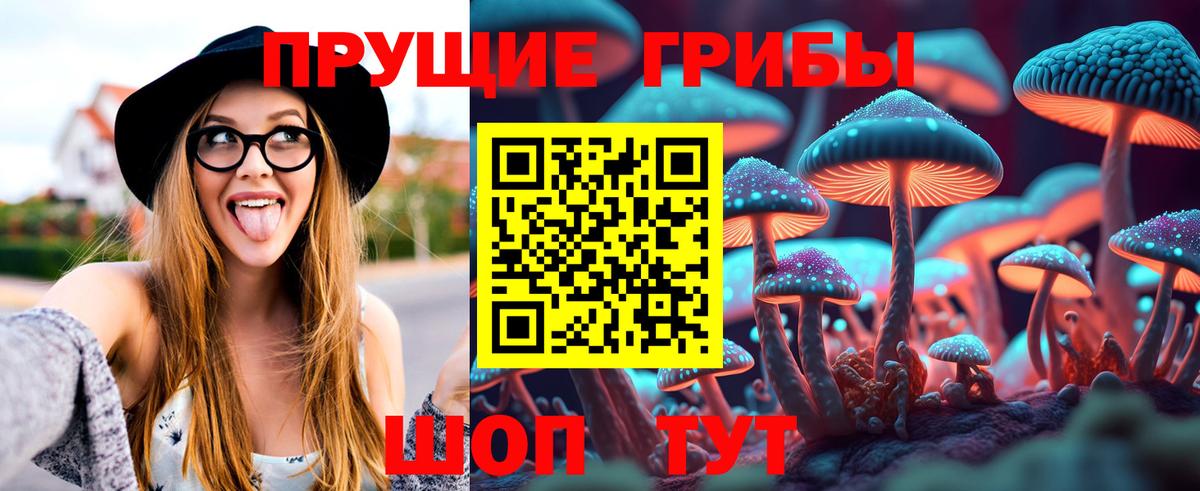 Галлюциногенные грибы Cubensis Знаменск